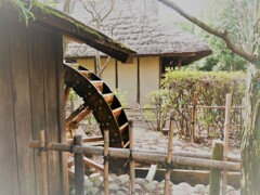 長閑な春を待ち望んで。