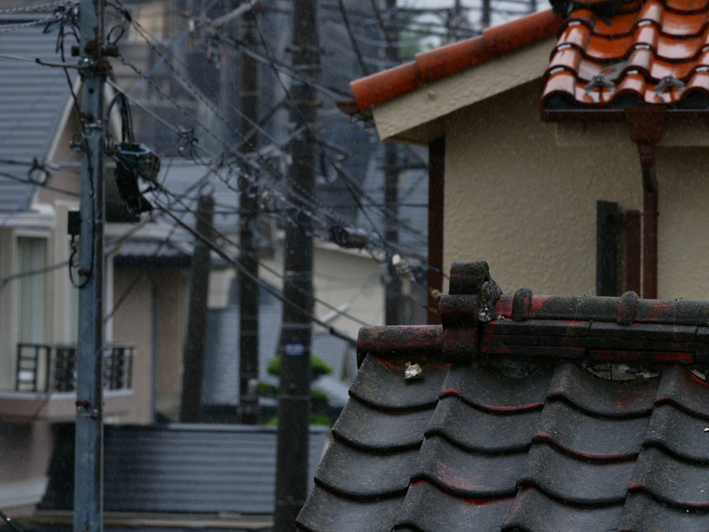 梅雨寒の朝