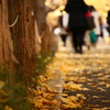 ・・・来し方を想ふ