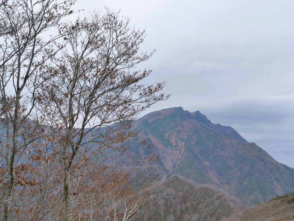晩秋旅情