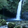 舞い上がり揺れ墜ちる