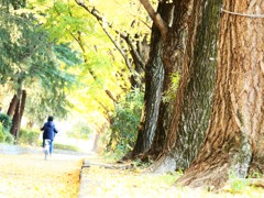 めくるめく未来への助走