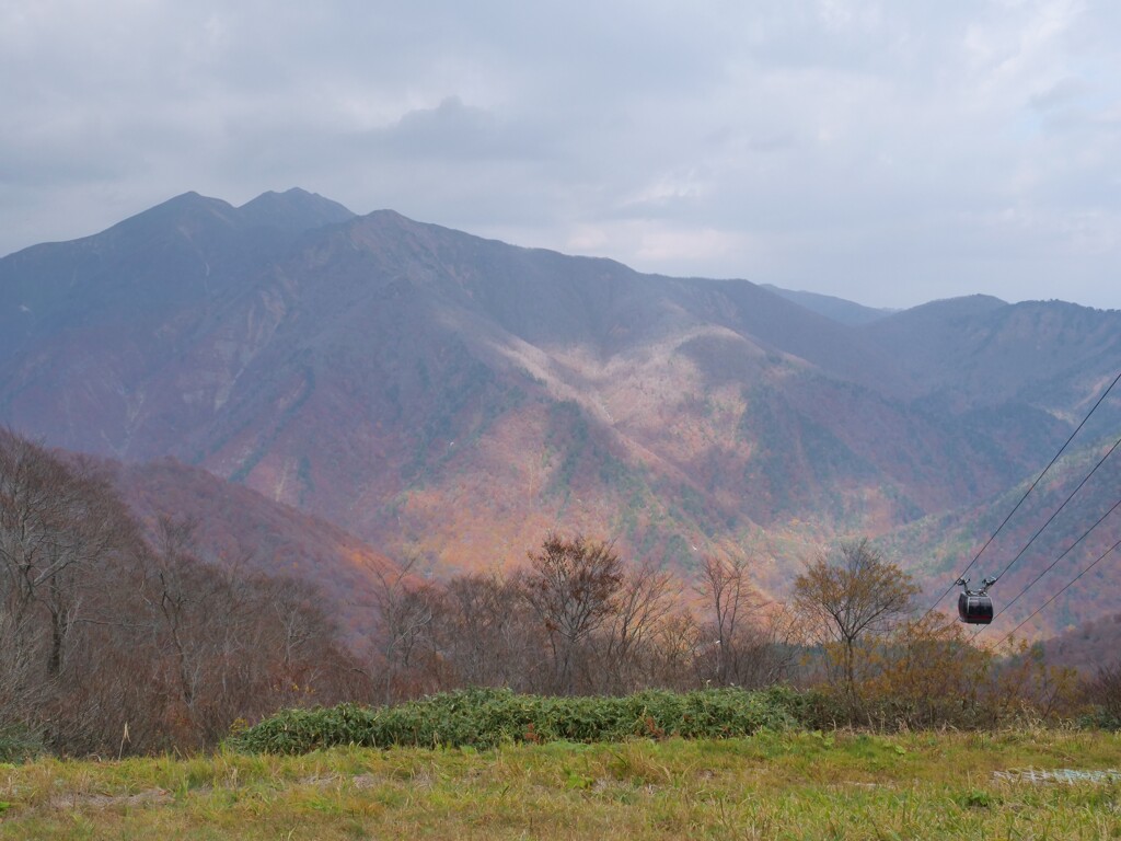 晩秋のかそけき光