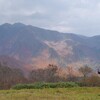 晩秋のかそけき光