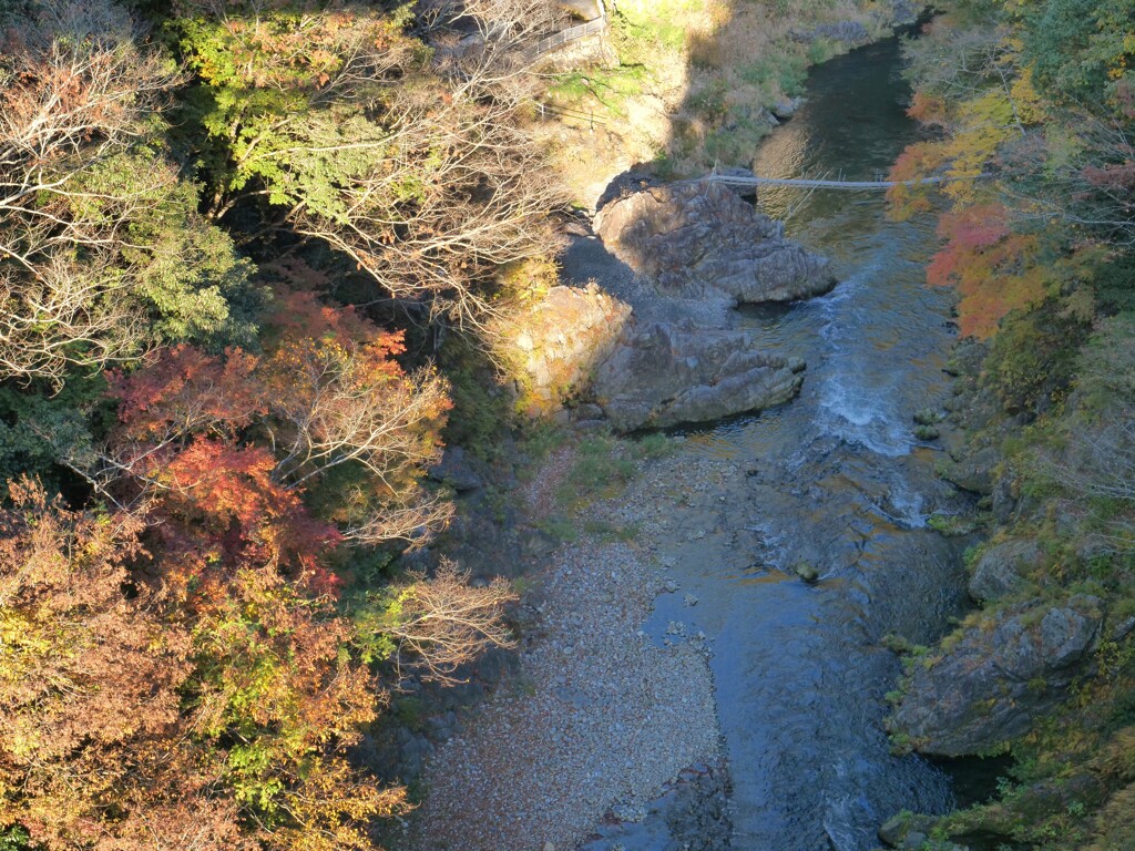 秋を追いかけて