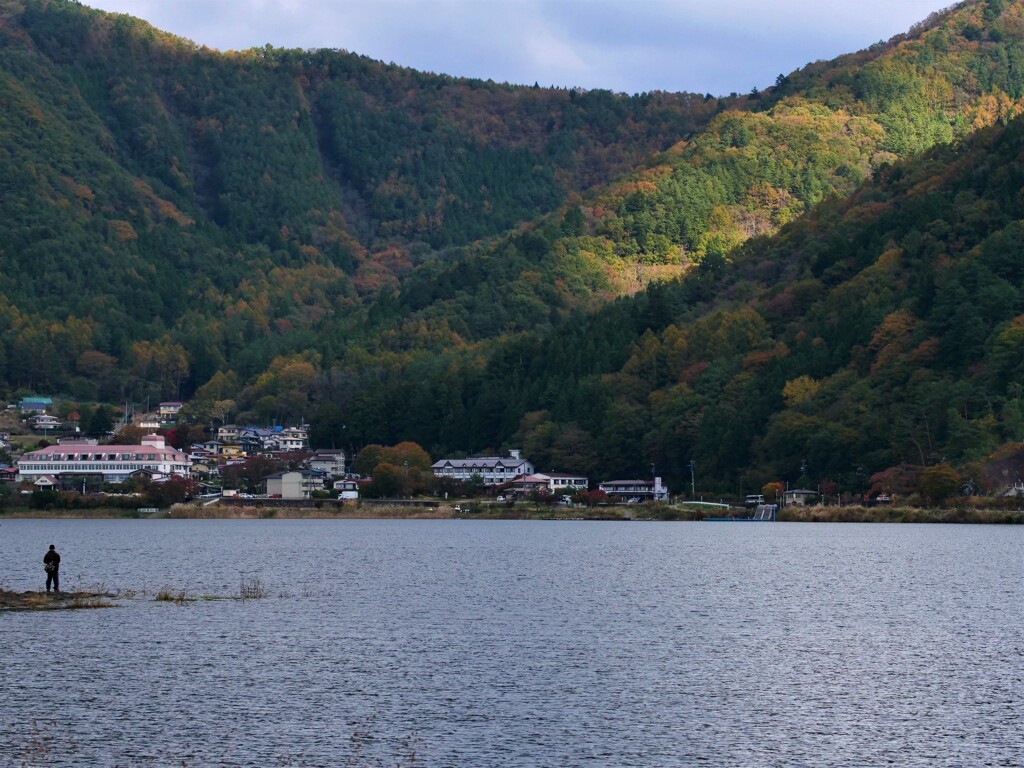 喜びも悲しみも