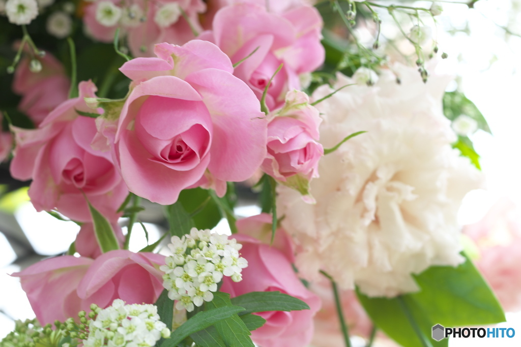 春がいっぱい♪19