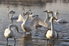 また、逢おうね♪4