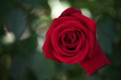 さよならを言う前に♪4