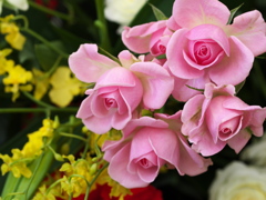 微笑みの薔薇2021♪4