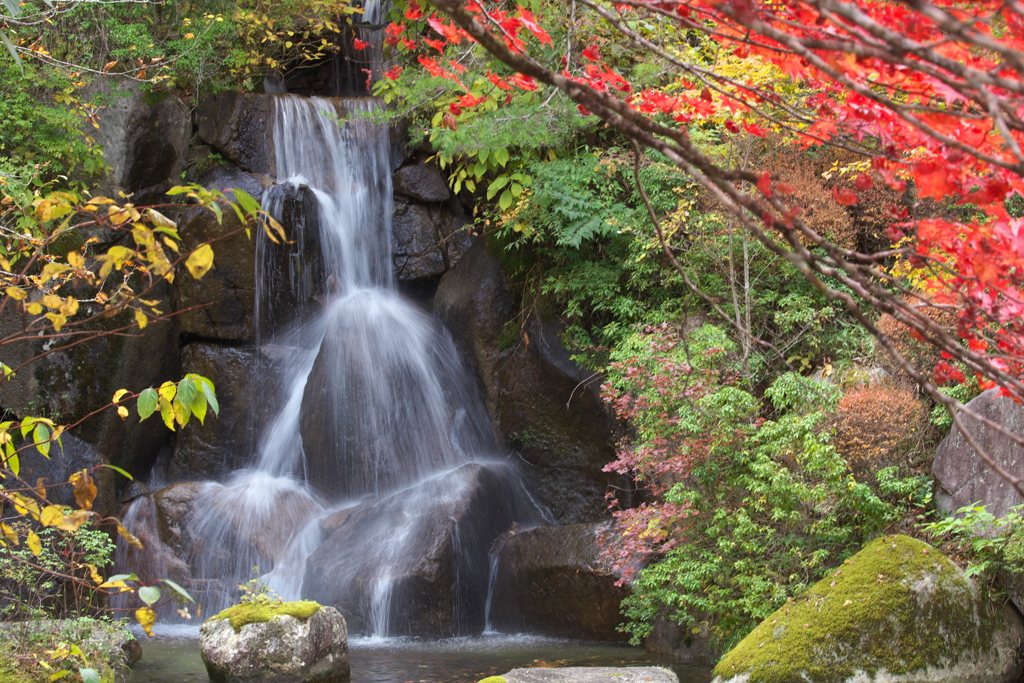 紅葉・古峯園♪7