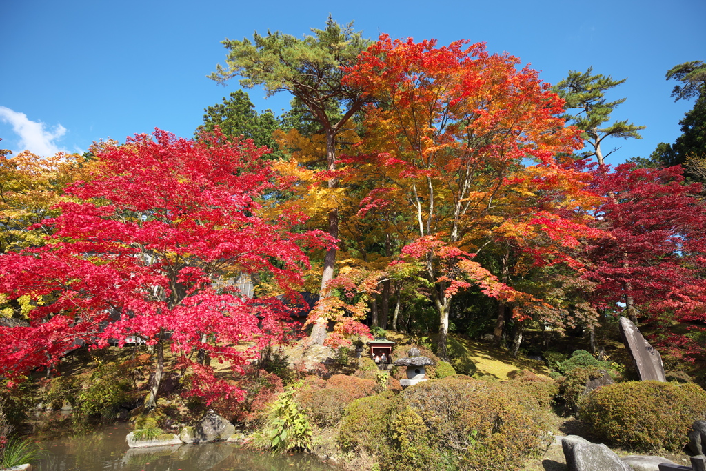 日光紅葉♪3