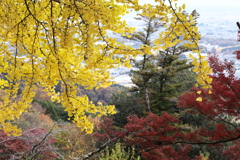 紅葉の頃・太平山♪6