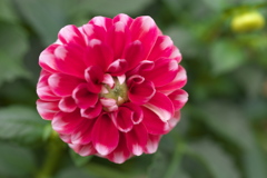 ダ・リ・ア ♪20