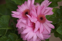 希望♪1