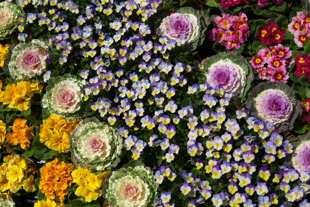 新年おめでとうございます♪2