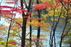 紅葉・富弘美術館♪6