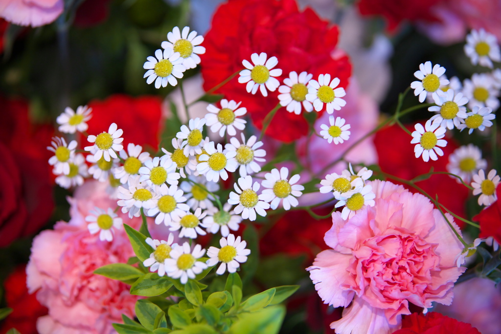微笑みの花たち♪18