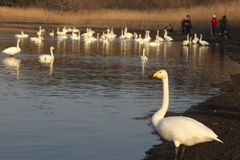 また、逢おうね♪5