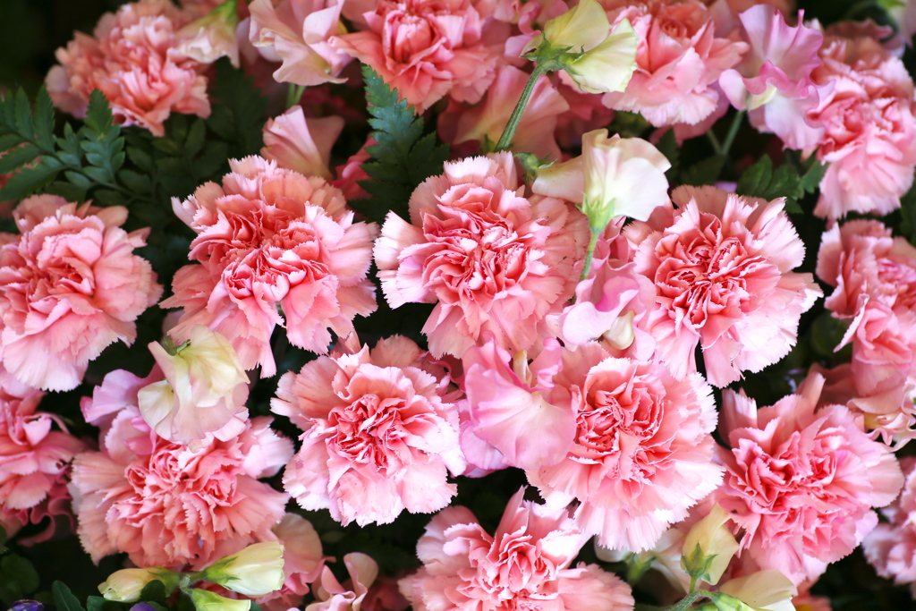 ありがとうの気持ち♪1