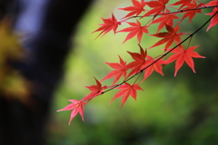 記念館はすぐそば♪４