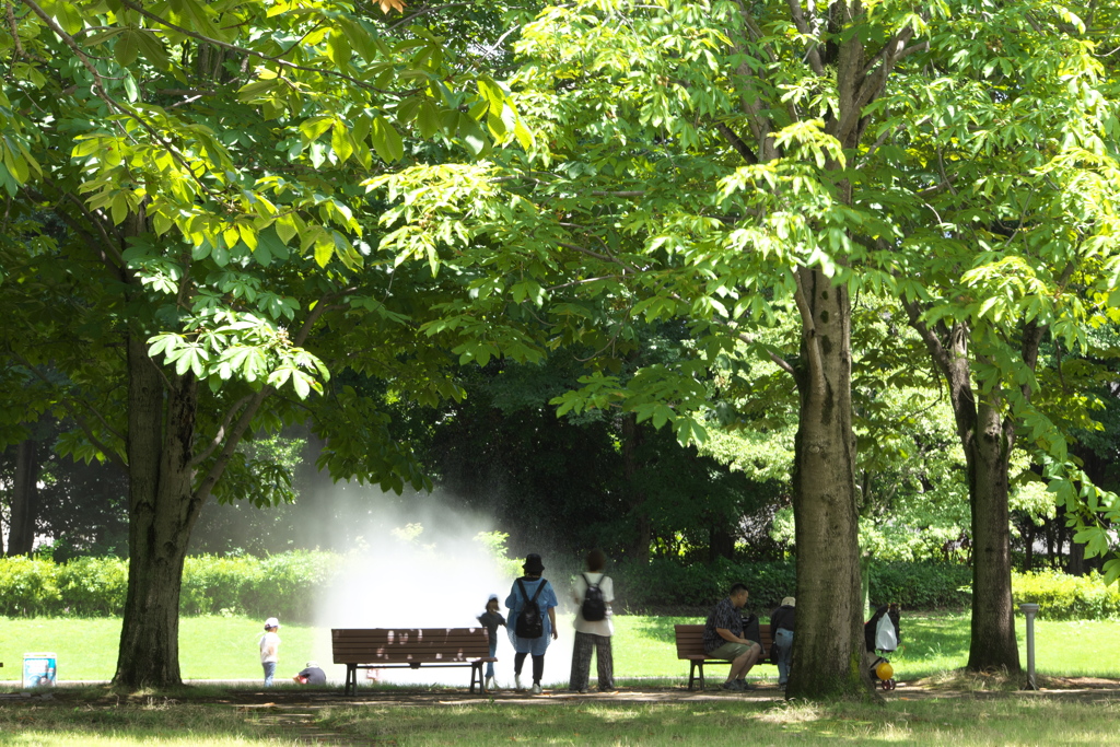 公園の夏♪5