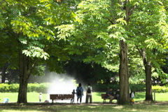 公園の夏♪5