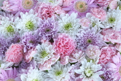 真夏の花手水♪1