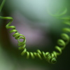 温室の花♪8