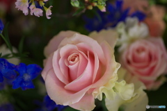 微笑みの花たち♪9