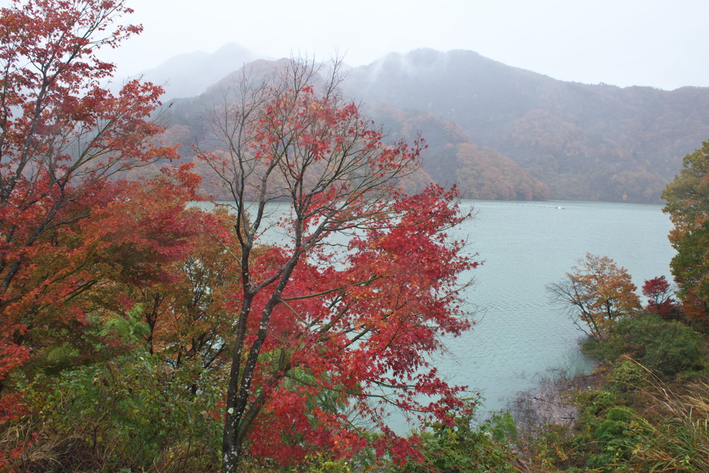 水辺の紅葉♪11