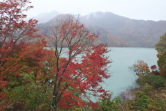 水辺の紅葉♪11