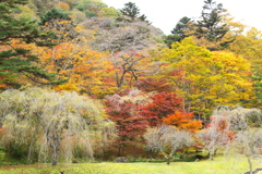 紅葉・古峯園♪9