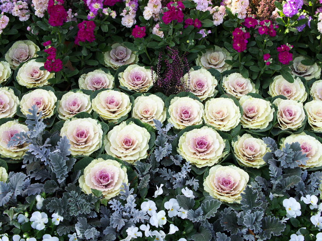 新年おめでとうございます♪4