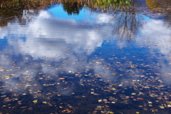 だいや川公園の秋♪3