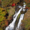 霧降の滝♪2