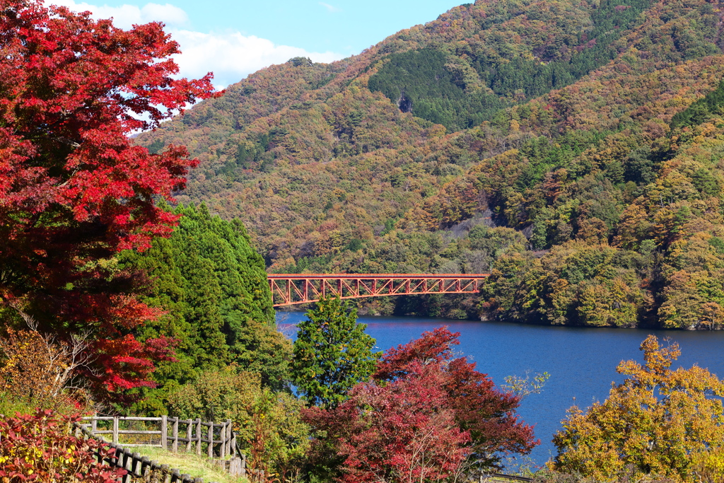 紅葉・富弘美術館♪1