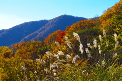 紅葉日光・いろは坂♪5