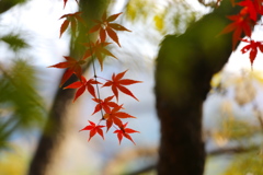 記念館はすぐそば♪２