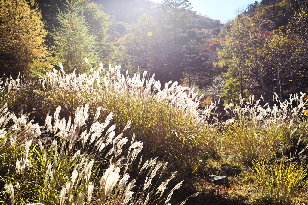 紅葉日光・中禅寺湖周辺♪2