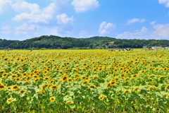 あの夏の日♪2