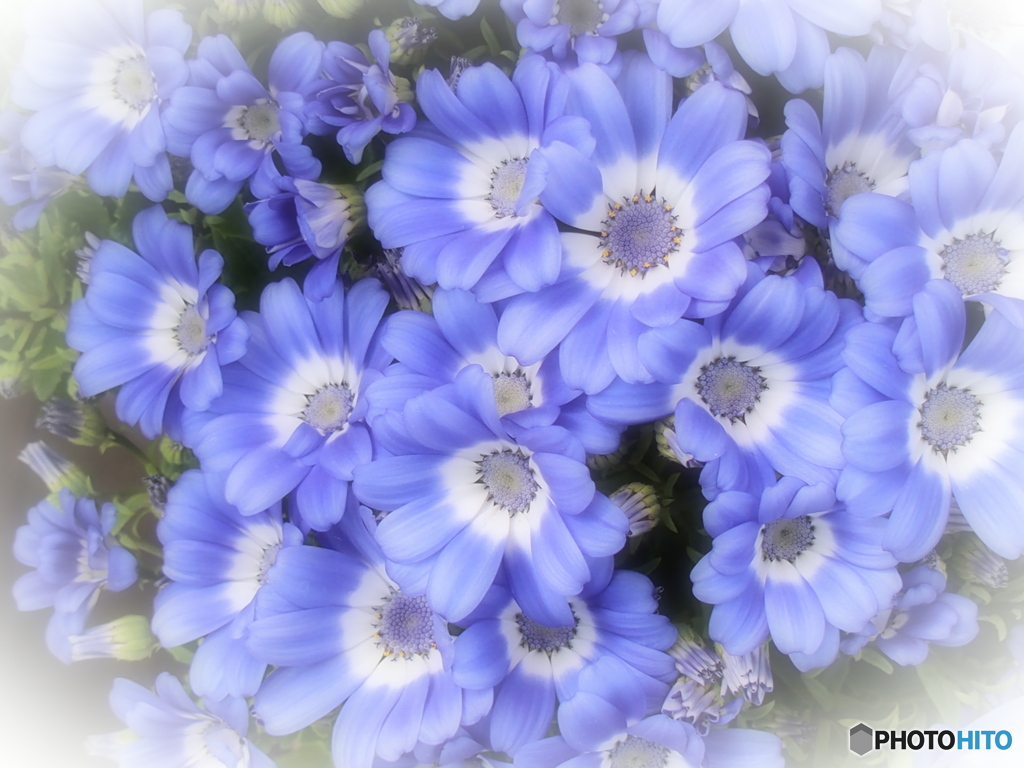 春がいっぱい♪18