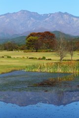 だいや川公園♪4
