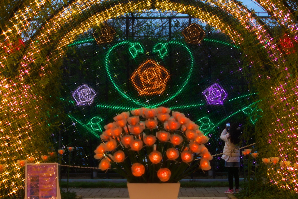 光の花の庭♪4