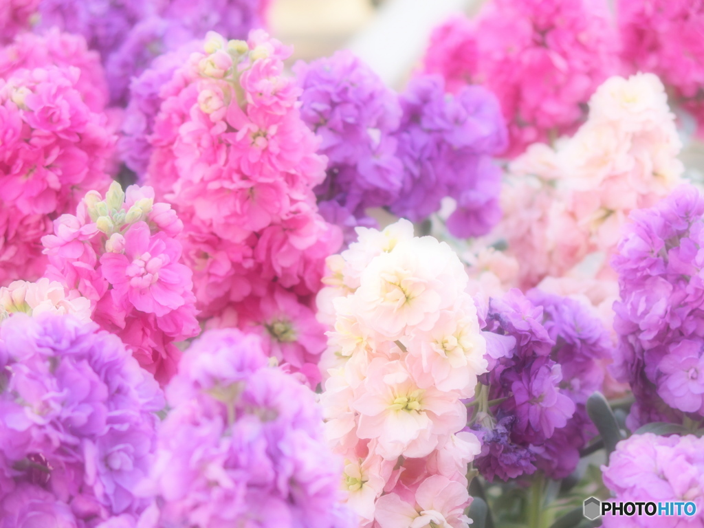 花木センターにて♪10