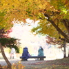 紅葉・富弘美術館♪3