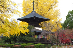 鑁阿寺・紅葉の頃♪3