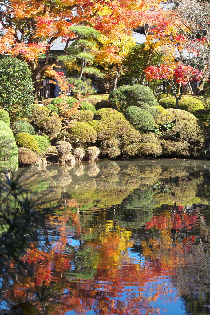 紅葉・逍遥園♪4