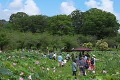 つがの里ハス祭り♪3