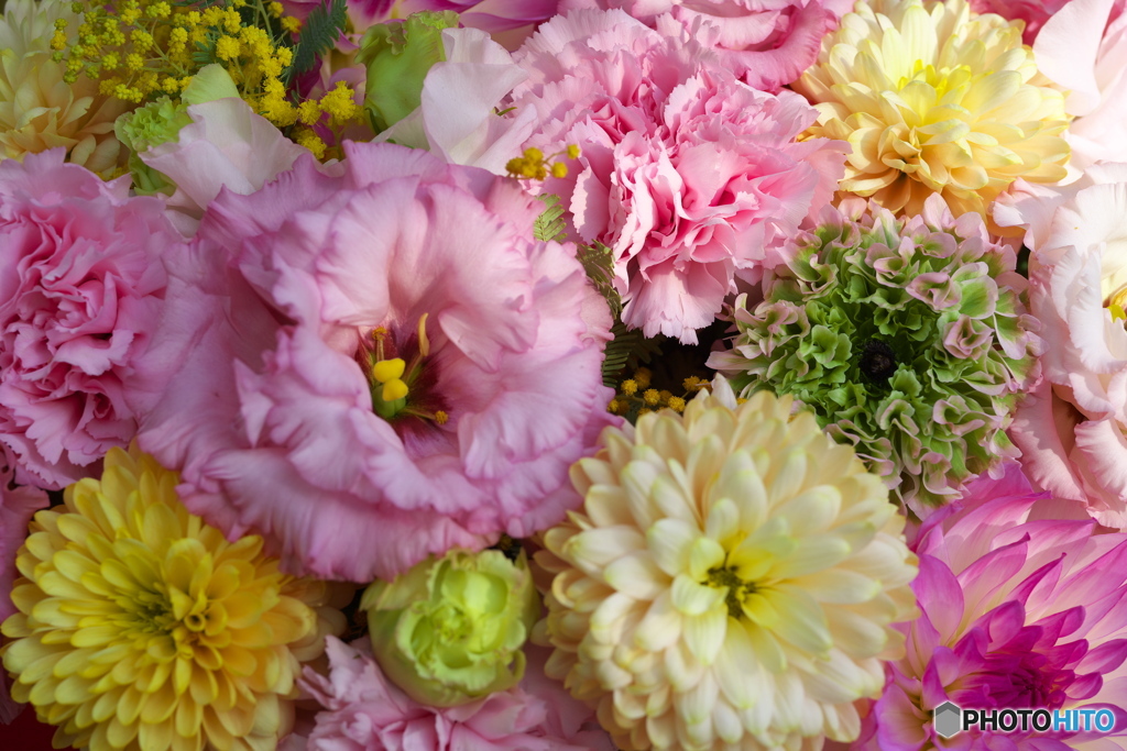 春がいっぱい♪20